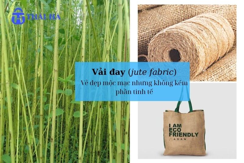 Vải đay là gì? Ưu nhược điểm