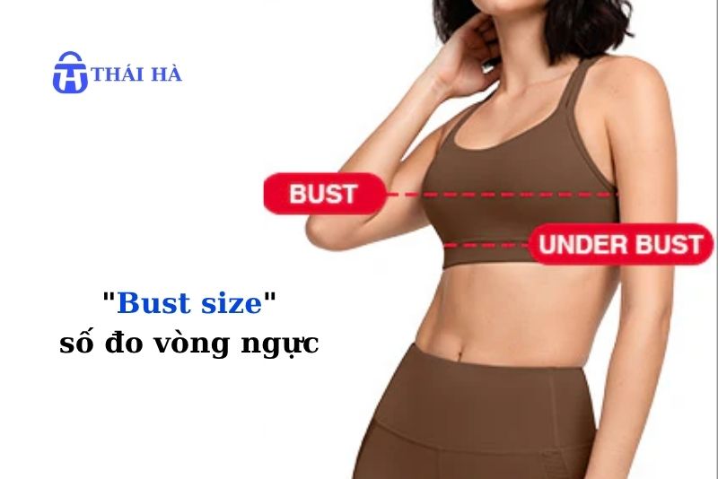 bust la số đo gì