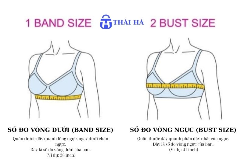 "Bust Size" trong bảng size là gì