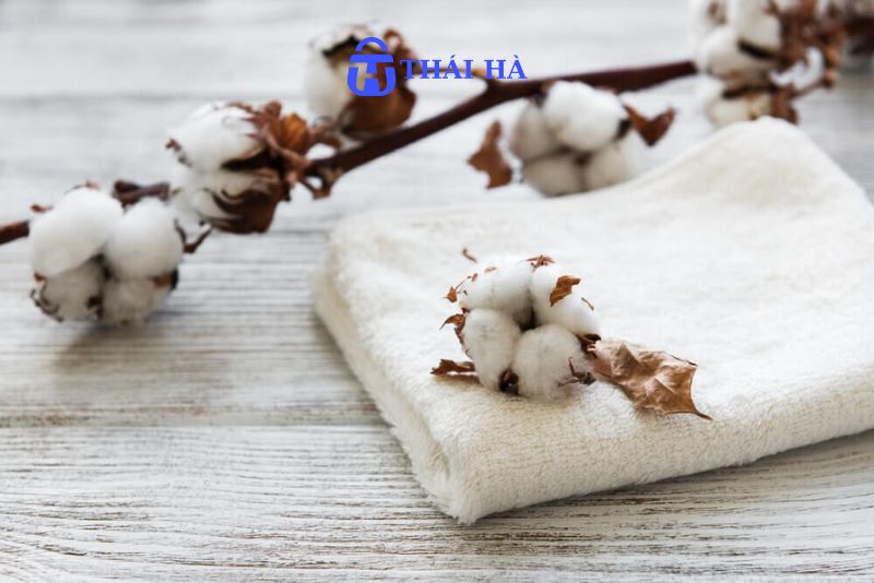 Đặc điểm của vải sợi thiên nhiên