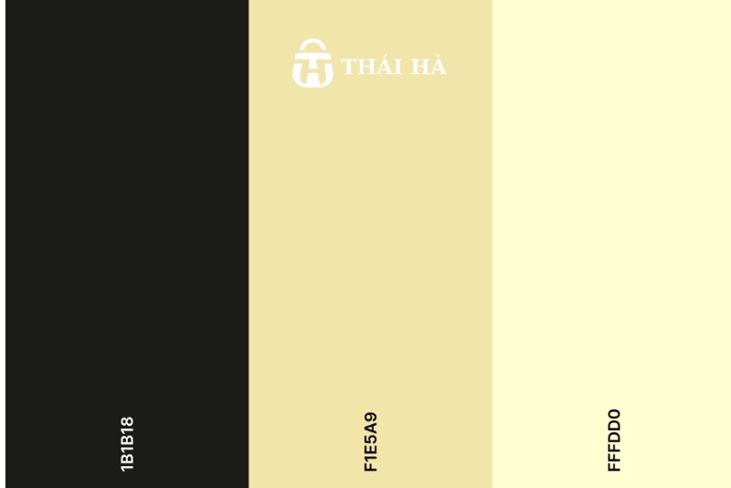 Màu đen kết hợp màu be