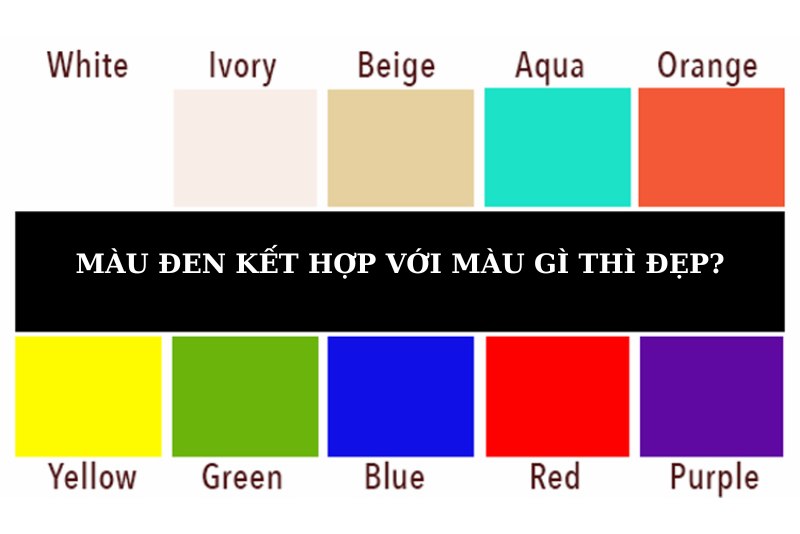Màu đen kết hợp với màu gì thì đẹp