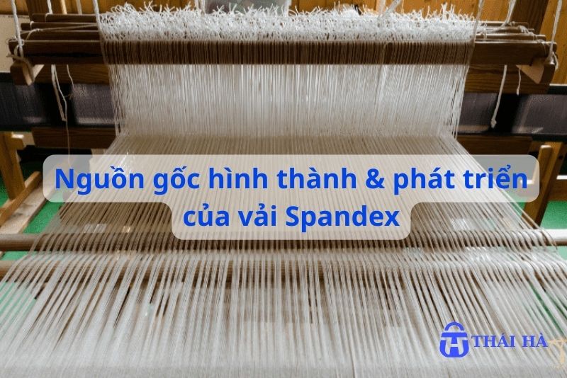 Nguồn gốc hình thành và phát triển của vải spandex