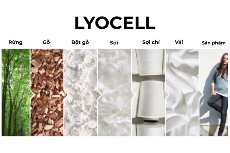 Quy trình sản xuất Vải Lyocell chi tiết