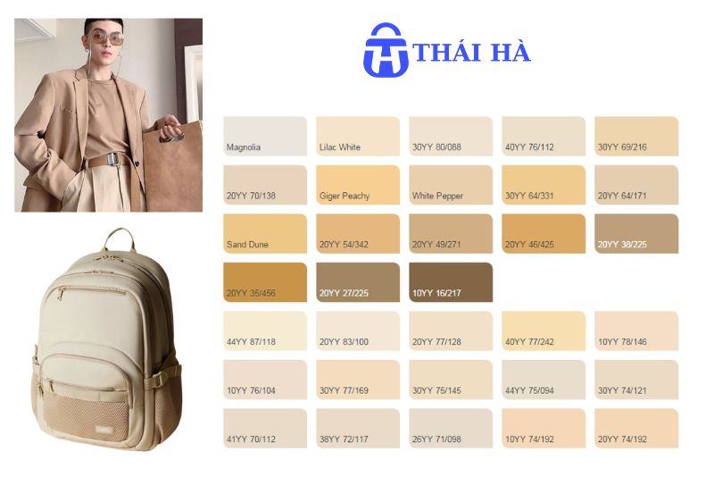 Các gam màu be thường gặp