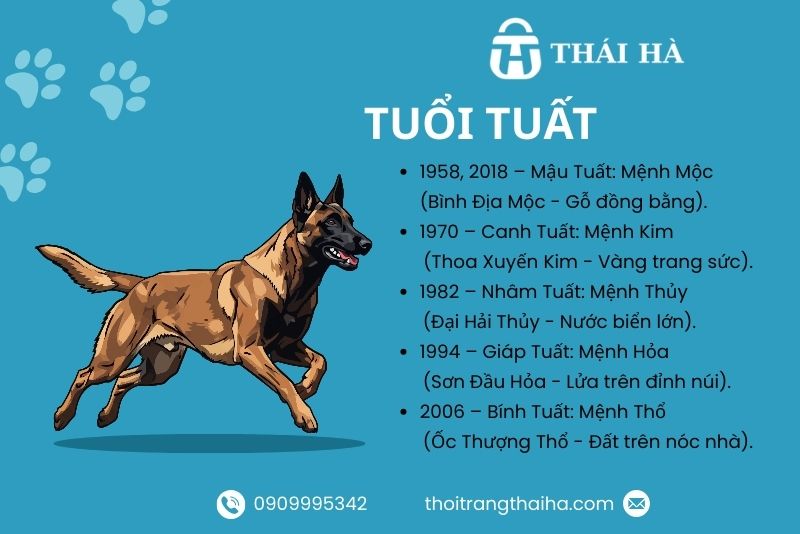 Tổng quan tuổi Tuất