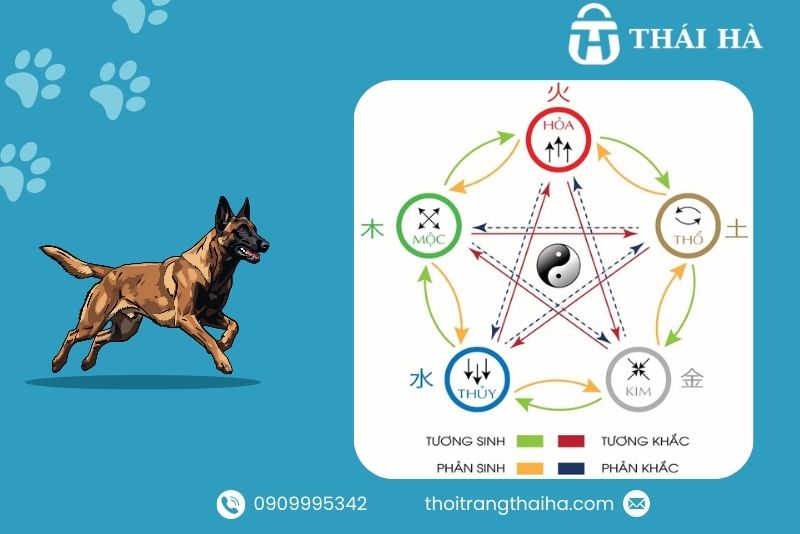 Màu hợp mệnh tuổi Tuất trong ngũ hành