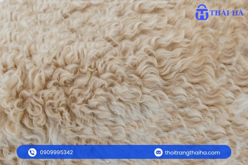 Vải lông cừu (wool)