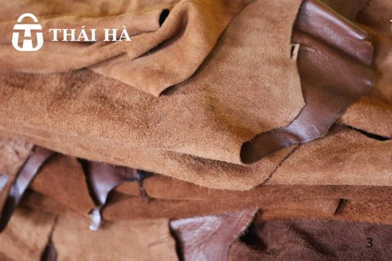 5 sự thật cần viết về da lộn